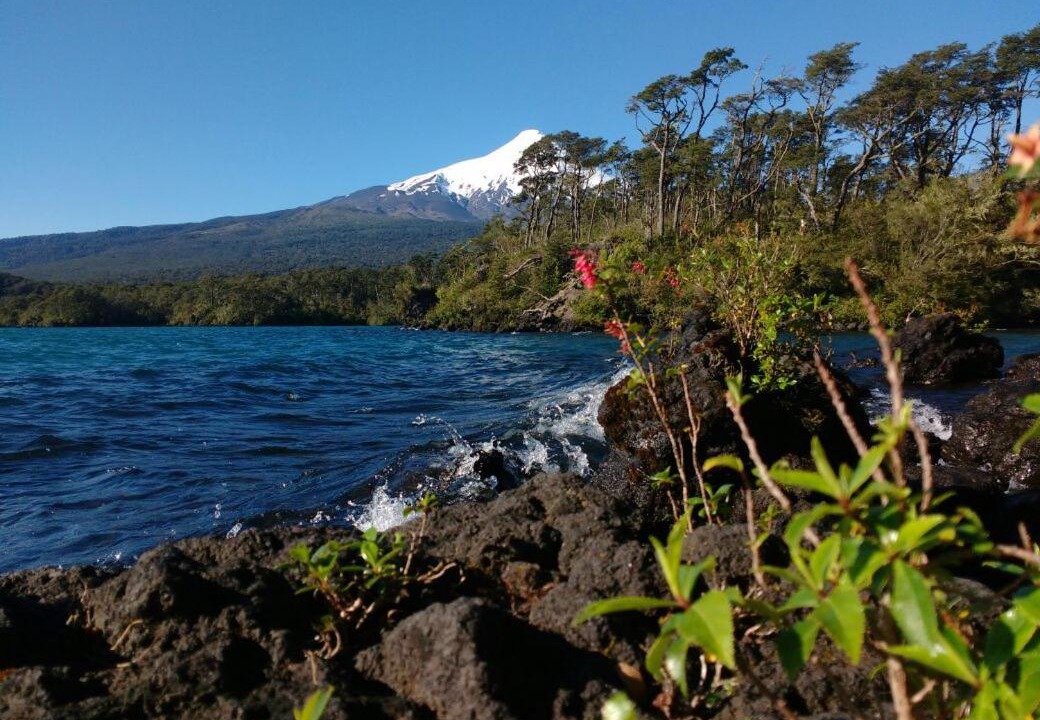 Photo of Others in Puerto Varas