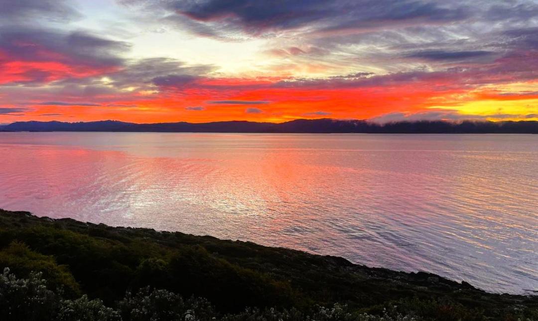 Photo of Others in Province of Tierra del Fuego