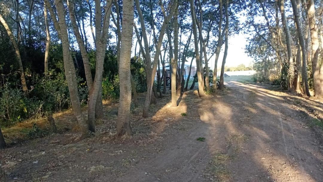 Photo of Others in San Miguel del Monte