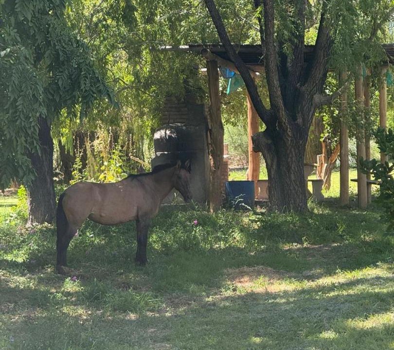 Photo of Others in Barreal