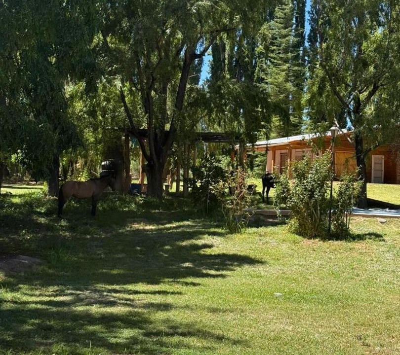Photo of Others in Barreal