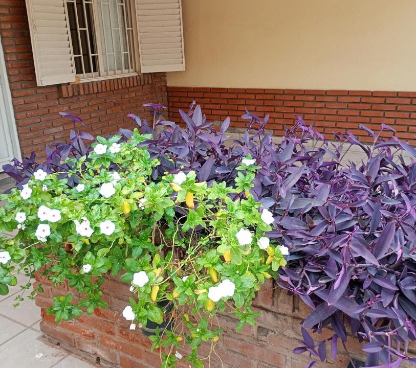 Photo of Others in La Rioja