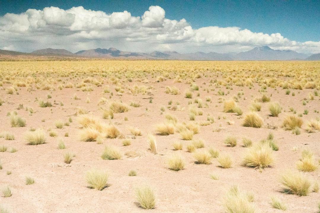 Photo of Others in San Pedro de Atacama