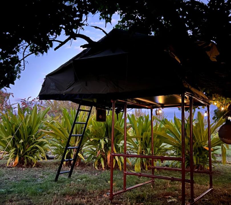 Photo of Others in Hanga Roa