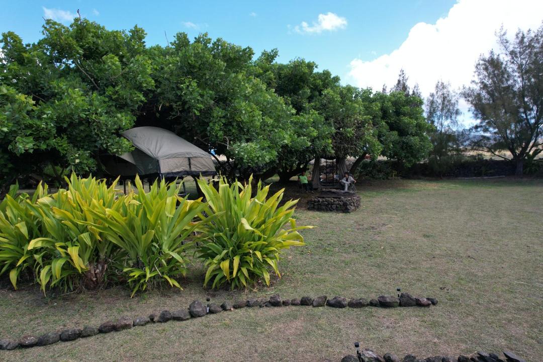 Photo of Others in Hanga Roa