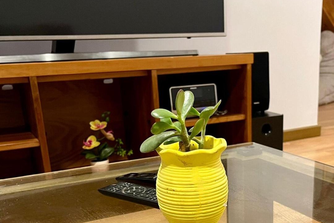 Photo of Livingroom in Talca