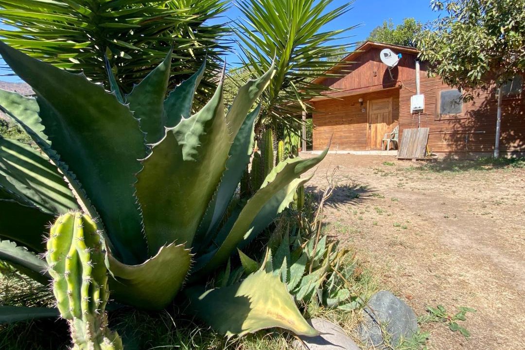 Photo of Others in San Francisco de Mostazal