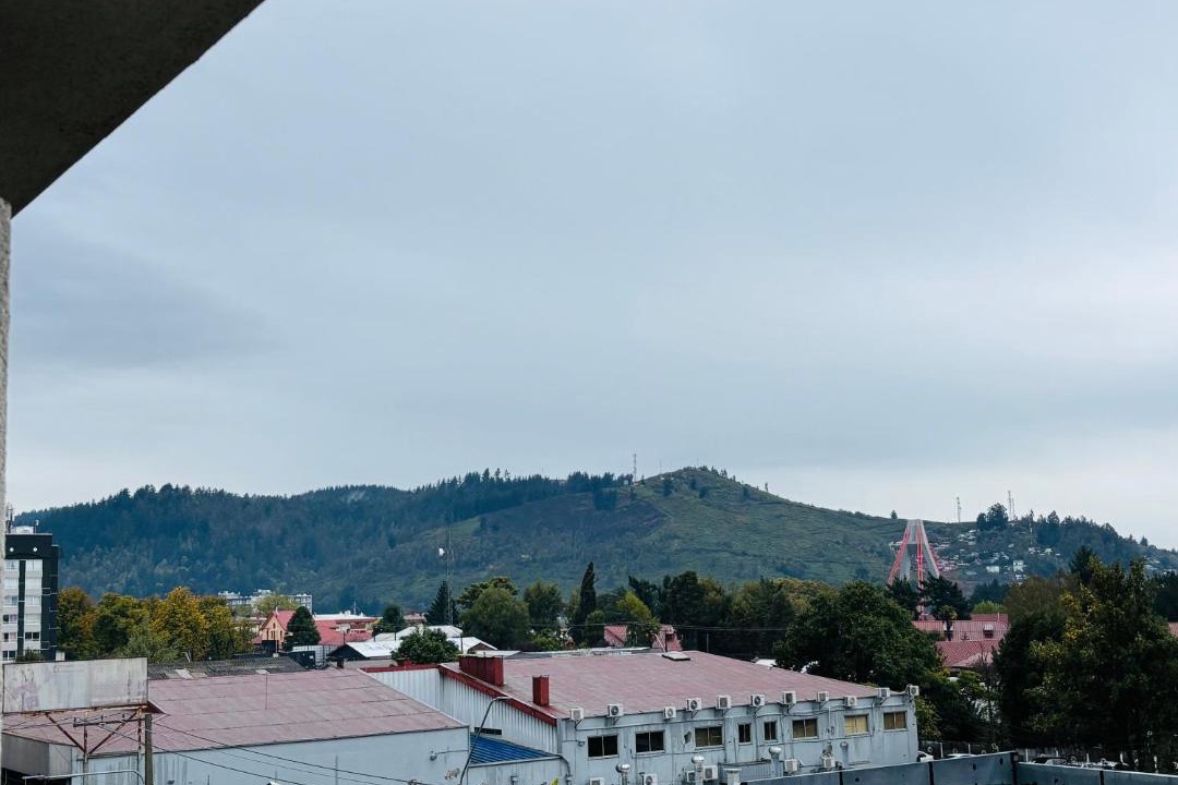 Photo of Others in Temuco
