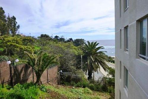 Photo of Others in Playa Ancha