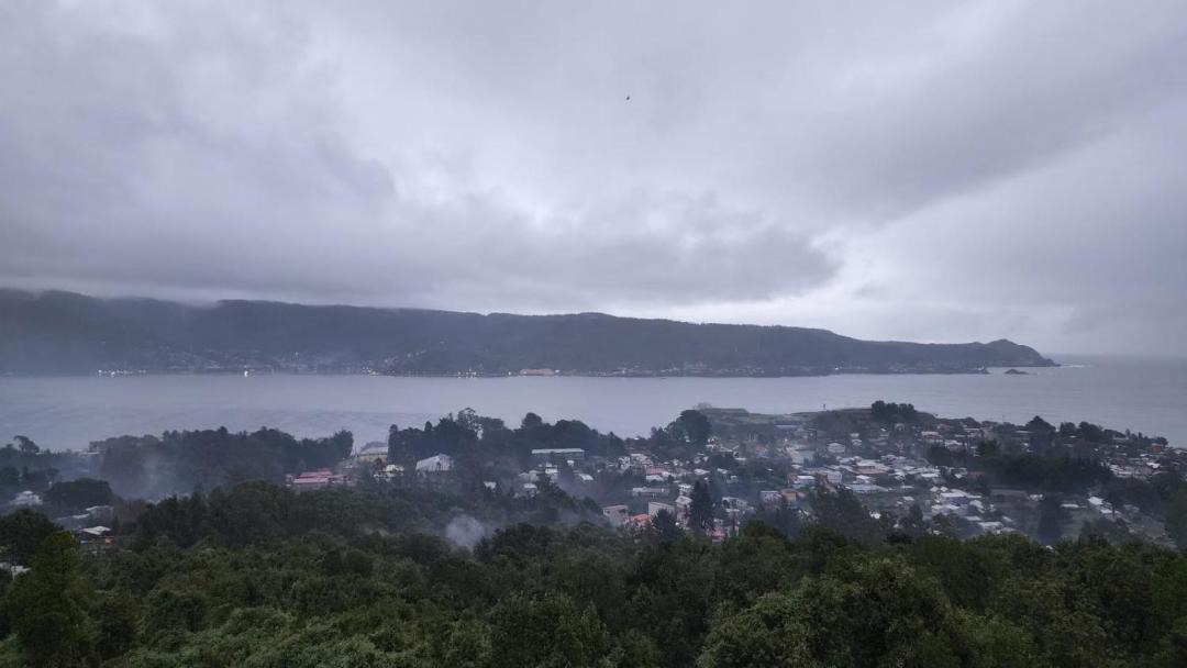 Photo of Others in Niebla