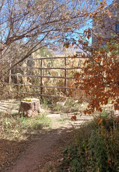 Photo of Others in Humahuaca