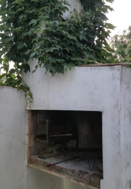 Photo of Others in Ameghino