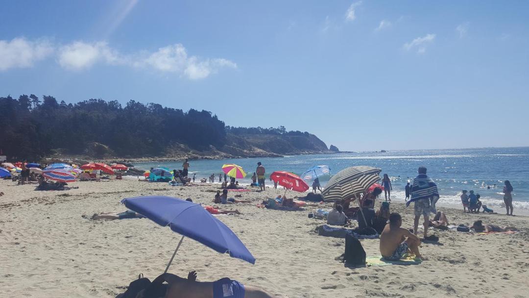 Photo of Others in Caleta Horcon