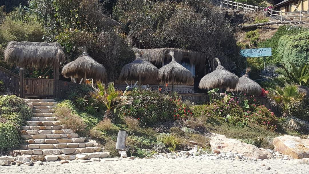 Photo of Others in Caleta Horcon