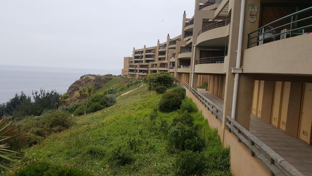 Photo of Others in Caleta Horcon