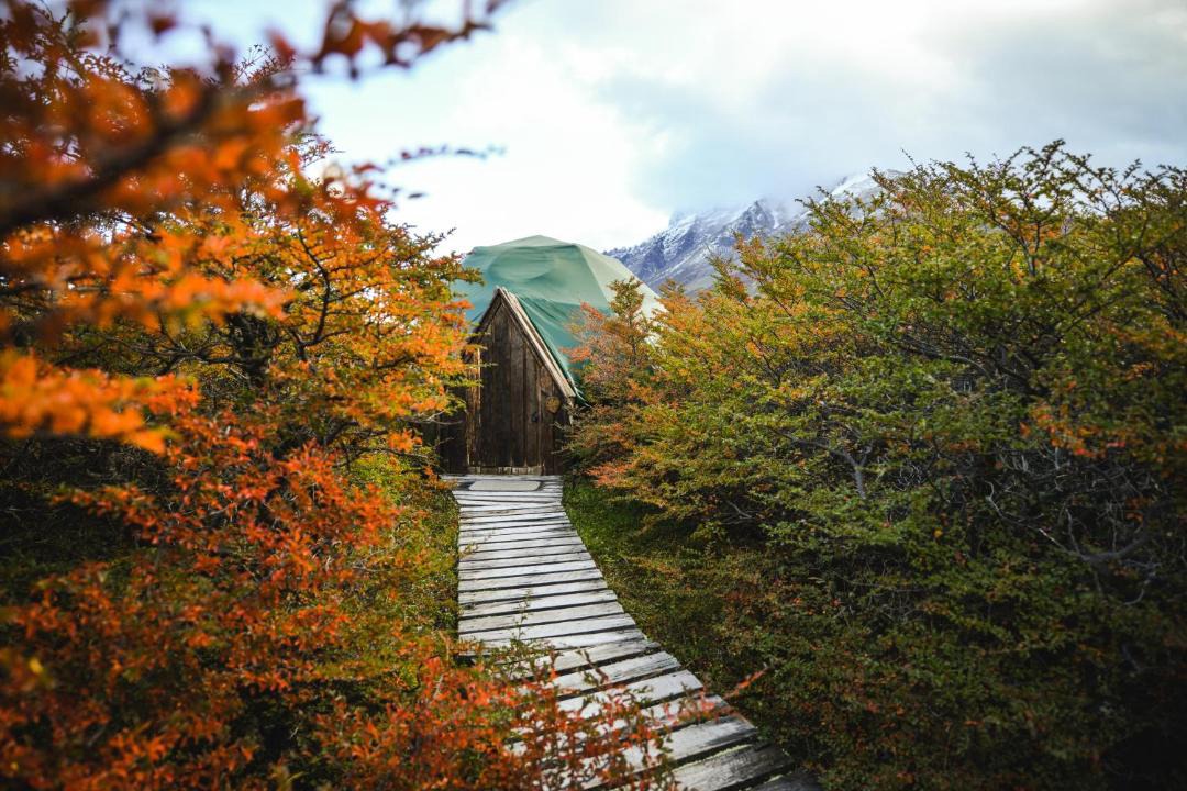 Photo of Others in Torres Del Paine