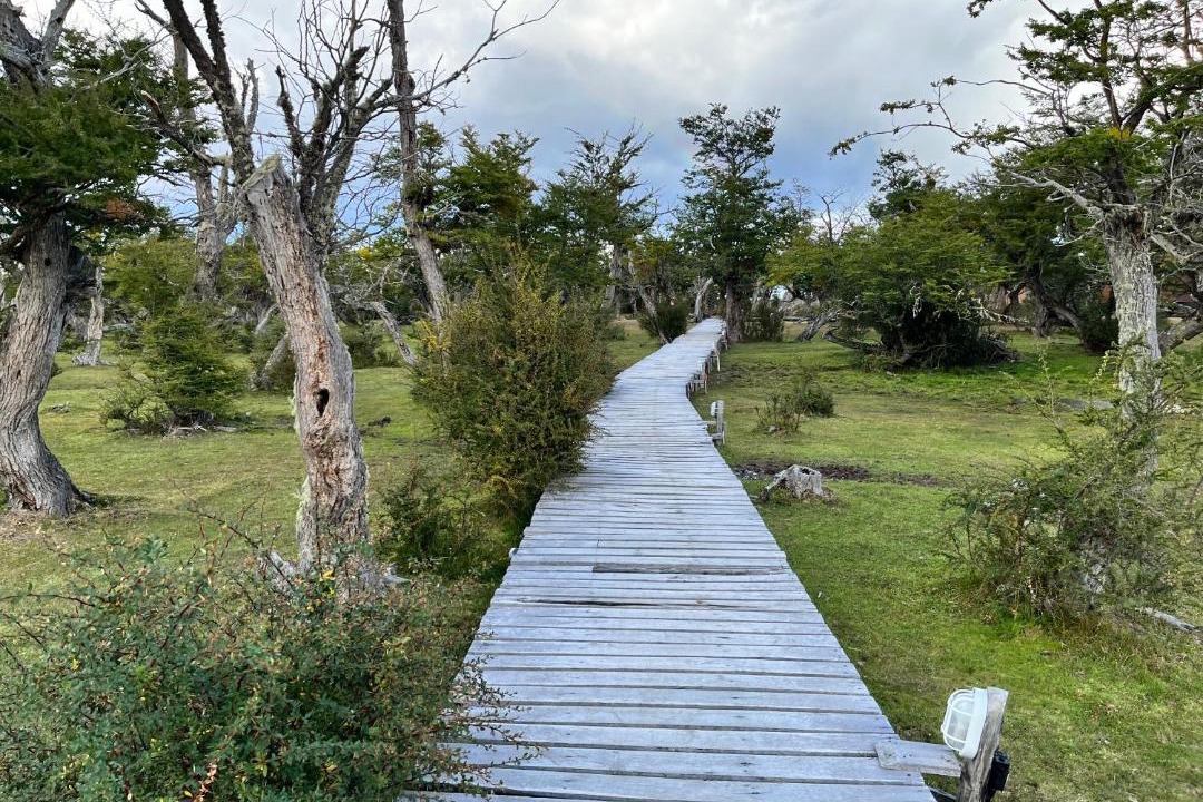 Photo of Others in Torres Del Paine