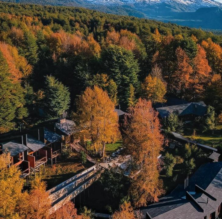 Photo of Others in Pucon