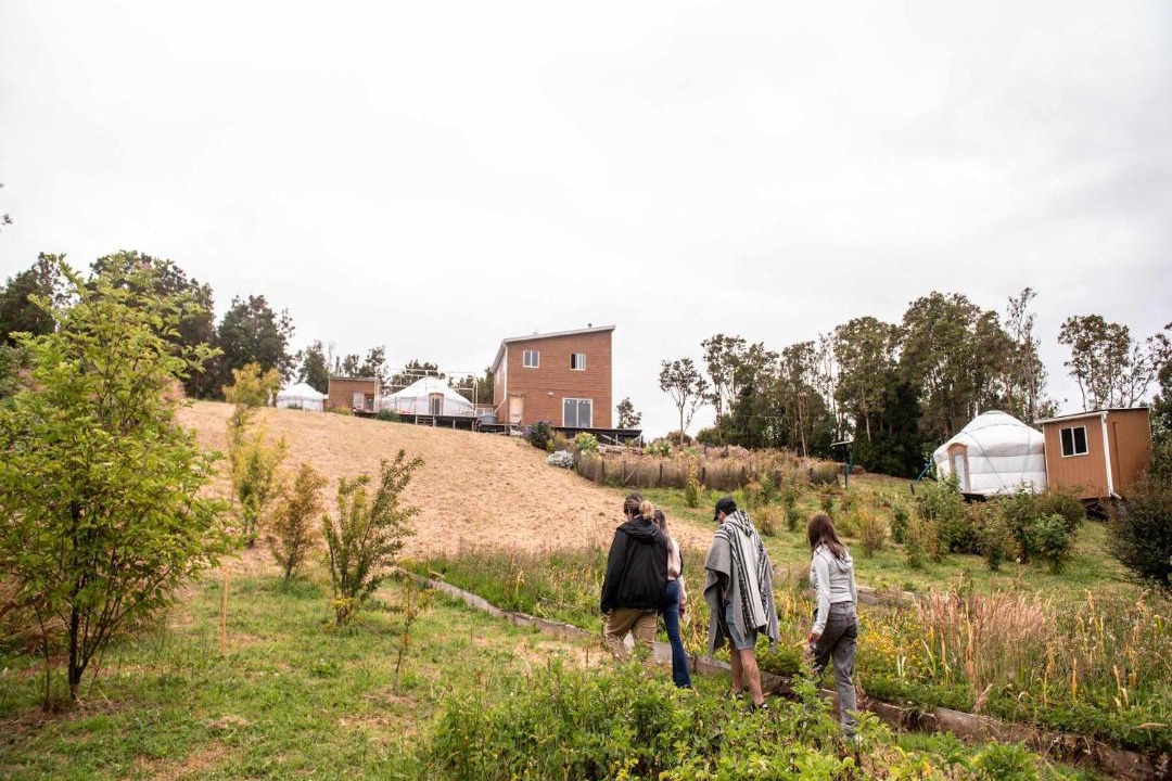 Photo of Others in Puqueldon