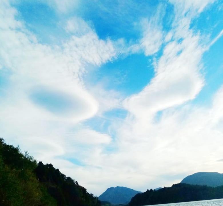 Photo of Others in Lanin National Park