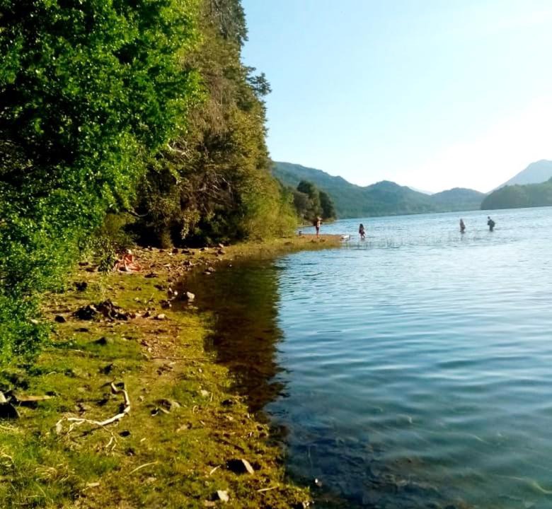Photo of Others in Lanin National Park