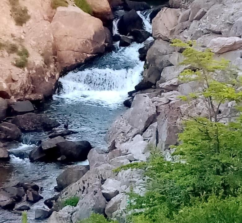 Photo of Others in Lanin National Park