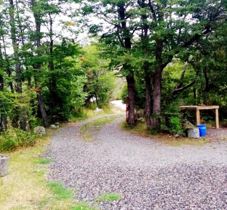 Photo of Others in Lanin National Park
