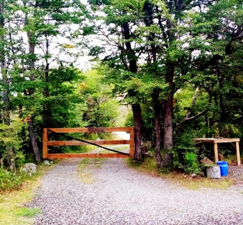 Photo of Others in Lanin National Park