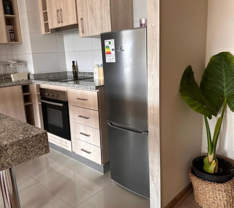 Photo of Kitchen in Chillan