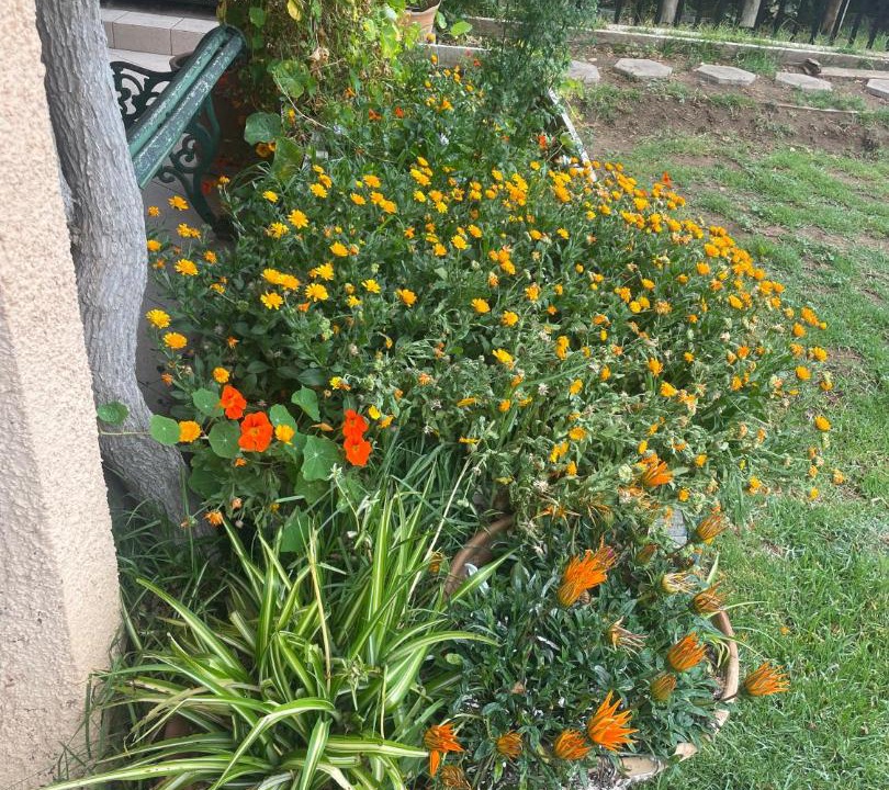 Photo of Outdoor in Guanaqueros