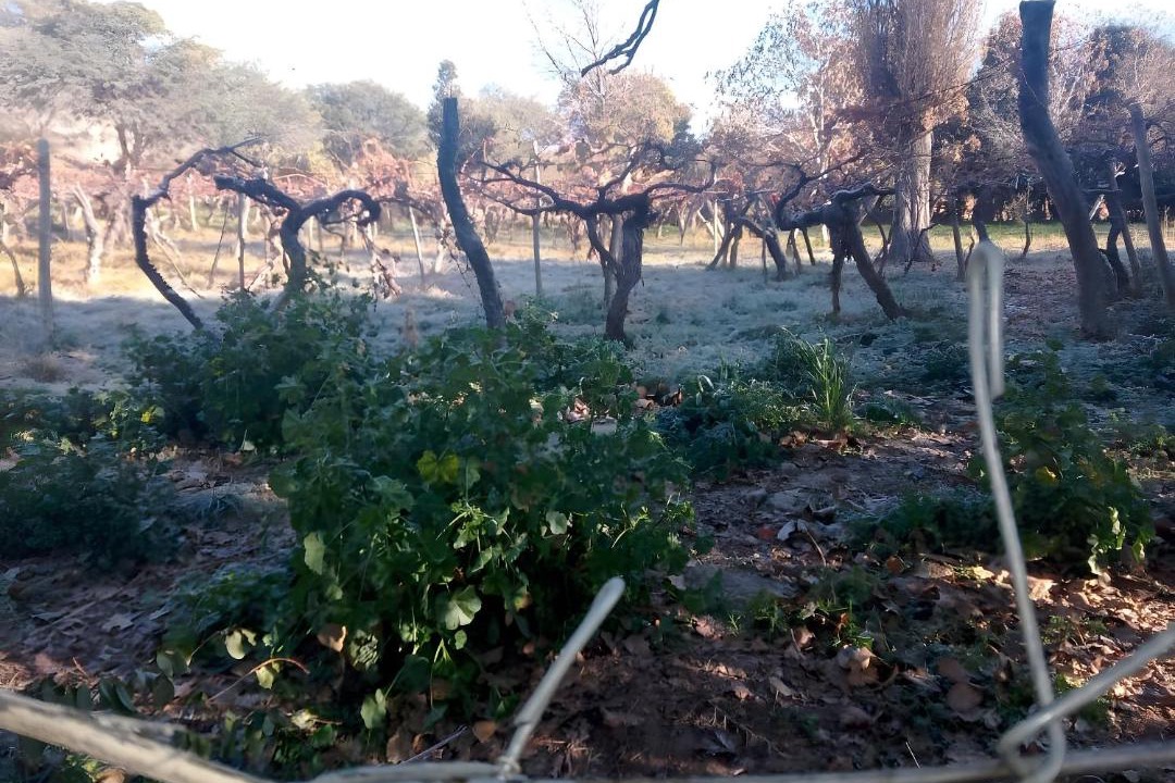 Photo of Others in Ampimpa