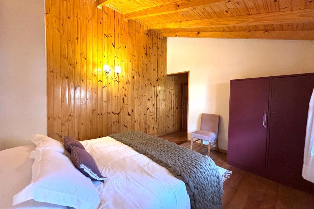 Photo of Others in Lanin National Park