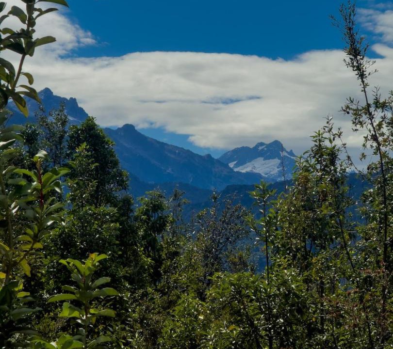 Photo of Others in Hornopiren National Park