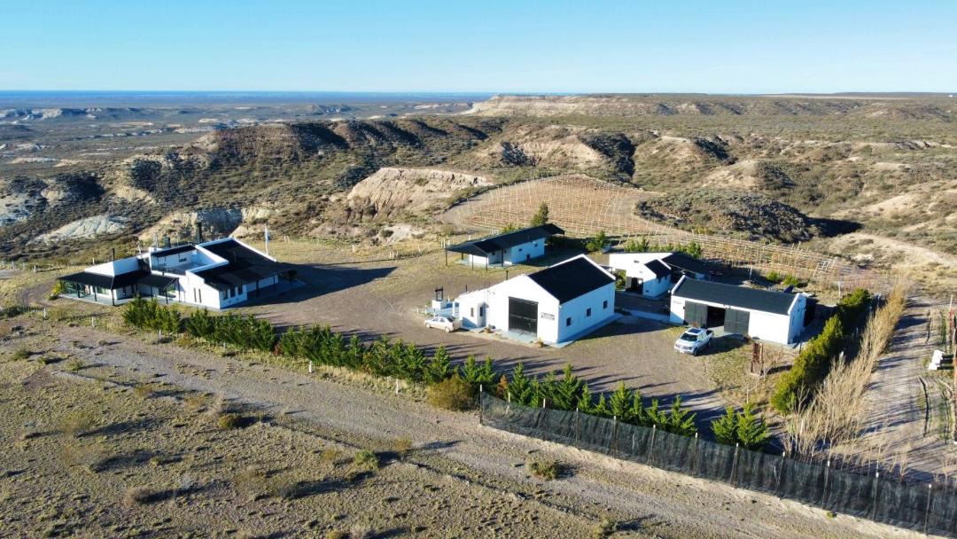 Photo of Others in Province of Chubut