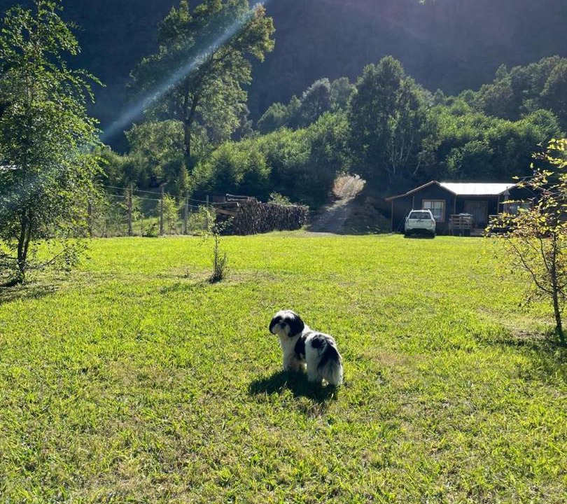 Photo of Others in Pucon