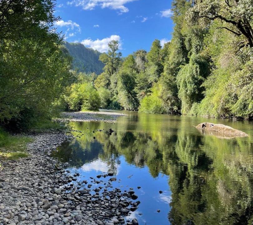 Photo of Others in Pucon