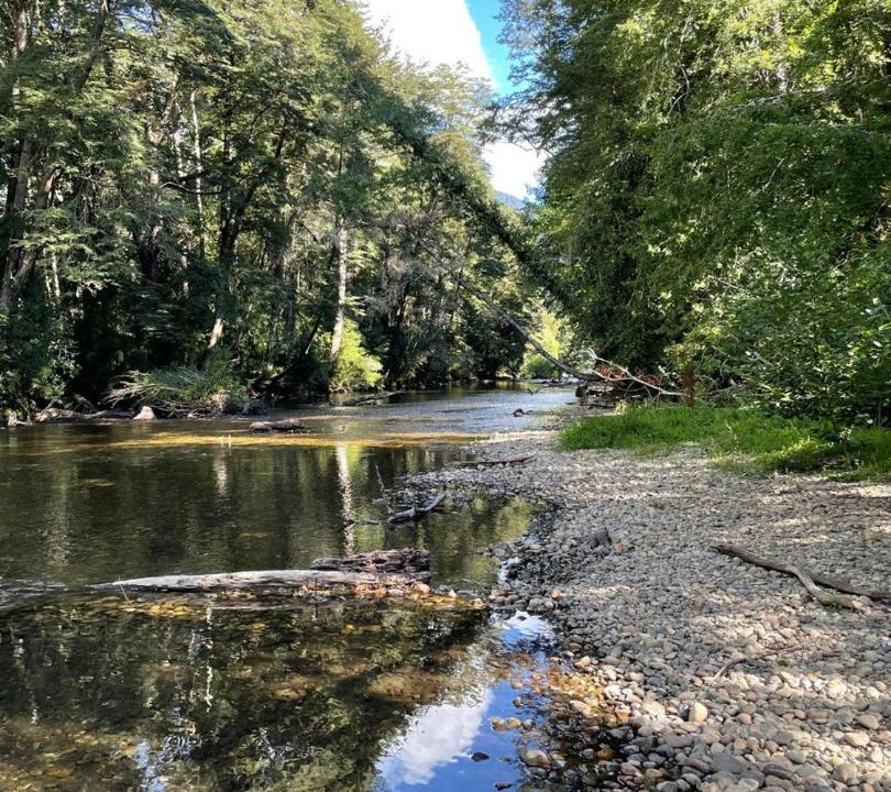 Photo of Others in Pucon
