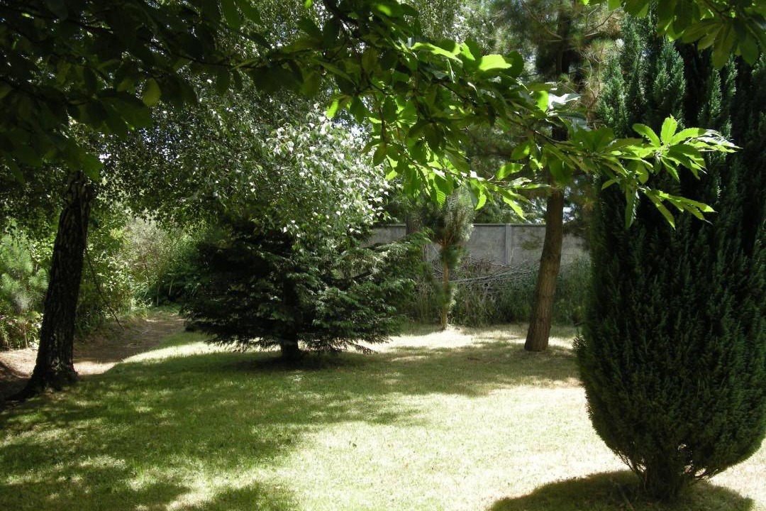 Photo of Others in Mariquina