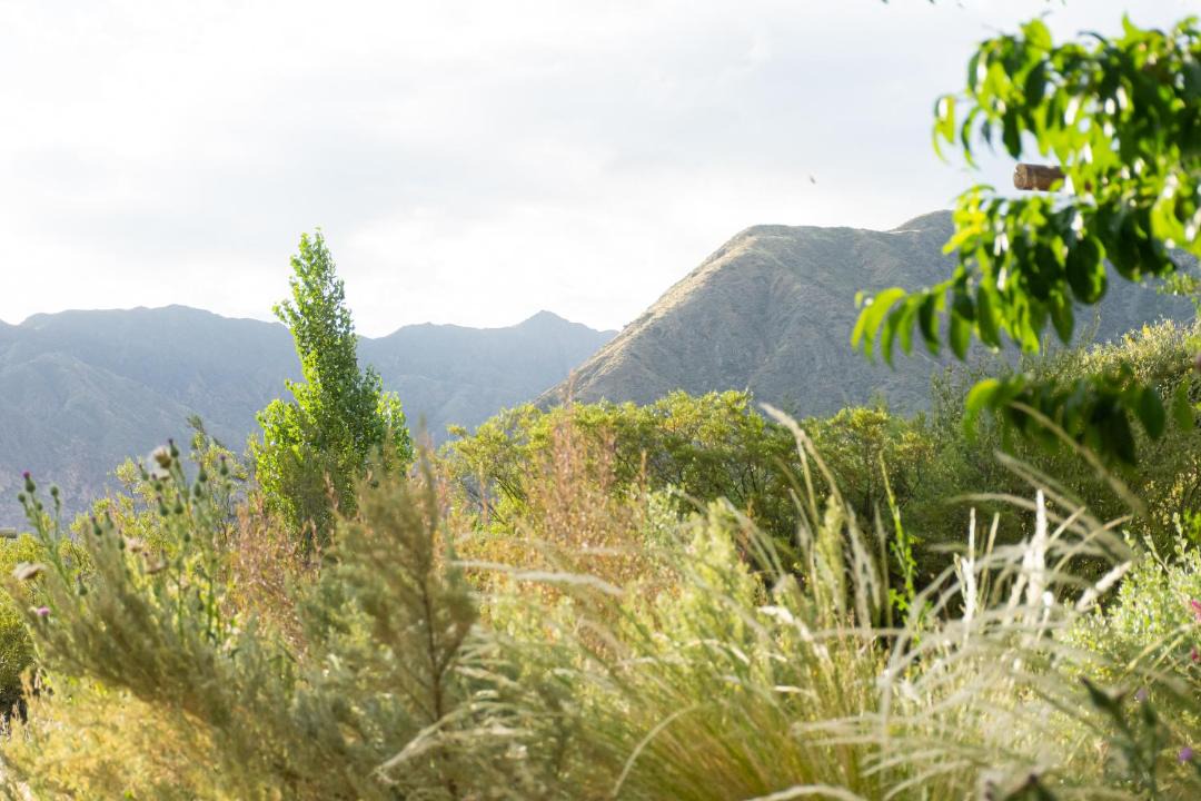 Photo of Others in Cacheuta