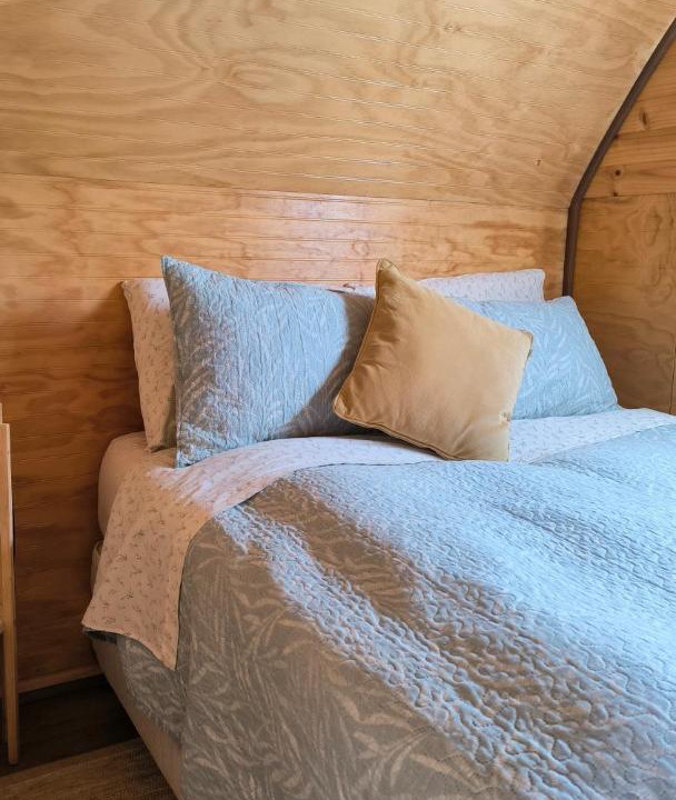 Photo of Bedroom in Valdivia
