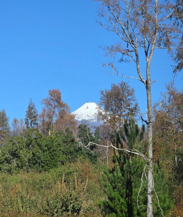 Photo of Others in Pucon