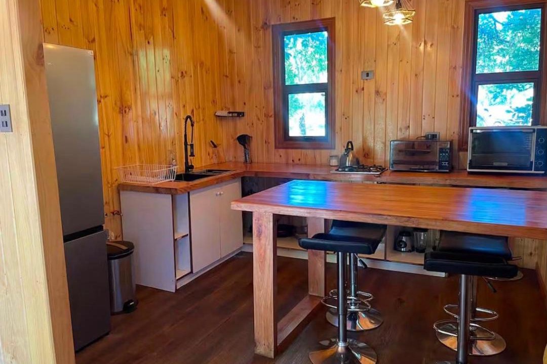 Photo of Kitchen in Panguipulli