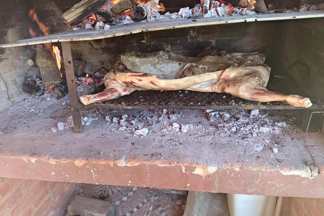 Photo of Others in San Javier