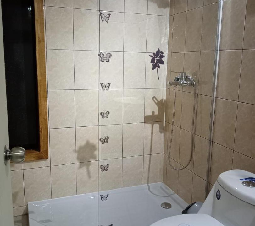 Photo of Bathroom in Valdivia