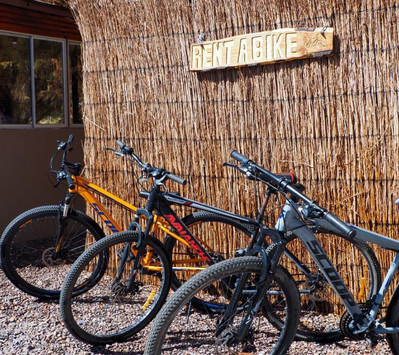 Photo of Others in San Pedro de Atacama