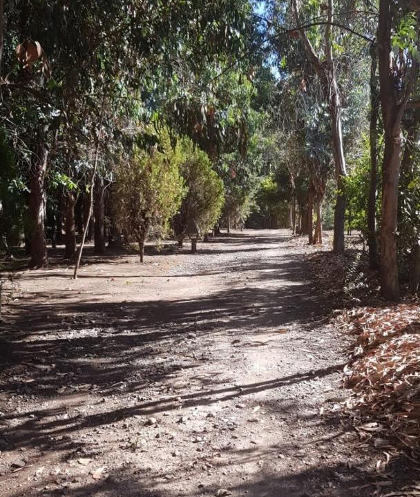 Photo of Outdoor in Bajos de Lircay
