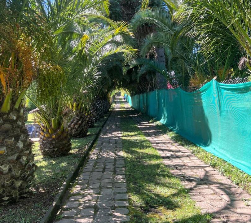 Photo of Others in Bajos de Lircay
