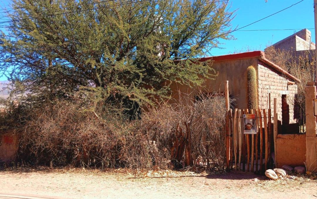 Photo of Others in Humahuaca