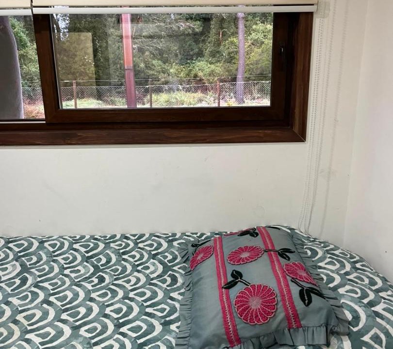 Photo of Bedroom in Mantilhue
