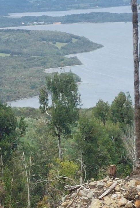 Photo of Others in Chonchi